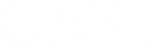 DVS Shoe Company